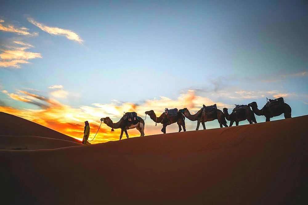 tour nel deserto 4 giorni marrakech a fes