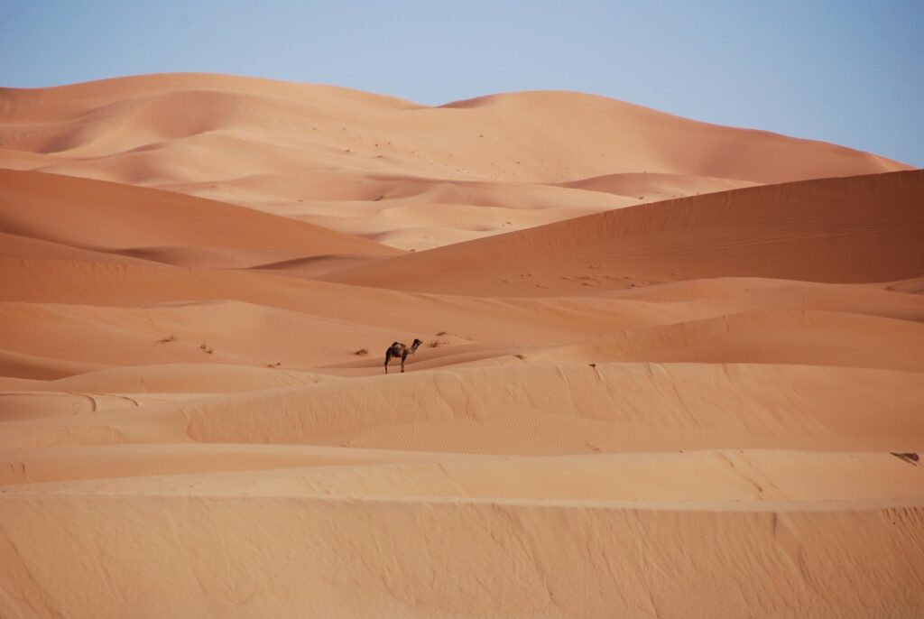 Marocco a novembre