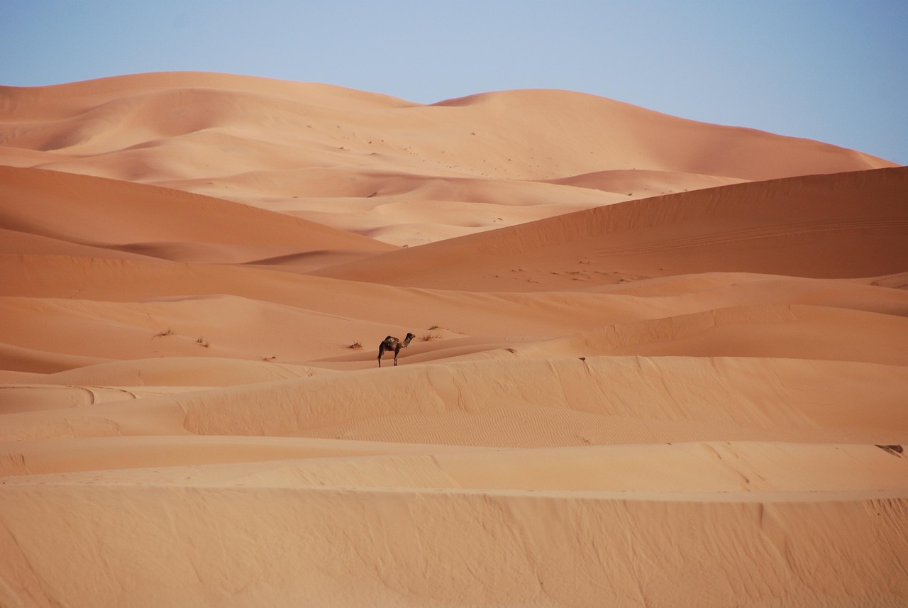 Marocco a novembre