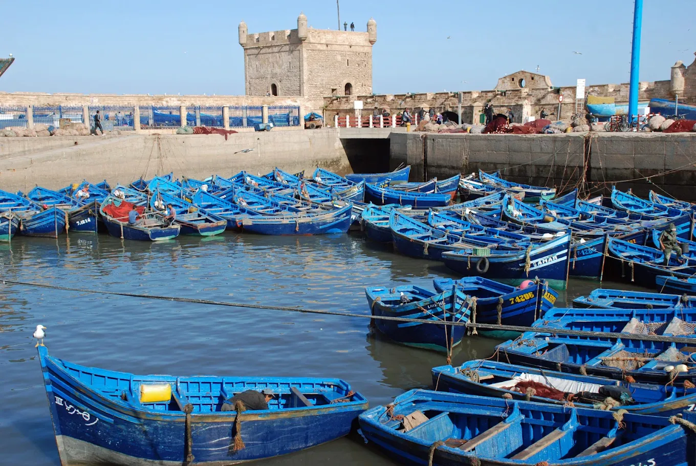 Le barche blu del porto di Essaouira, tappa del tour di 12 giorni