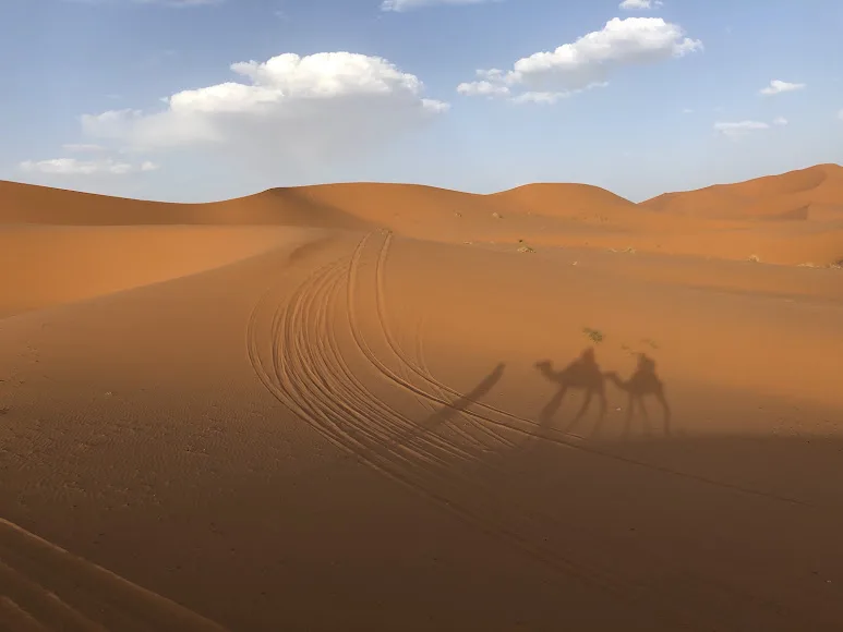 Carovana di dromedari al tramonto a Merzouga, tour di gruppo di 5 giorni