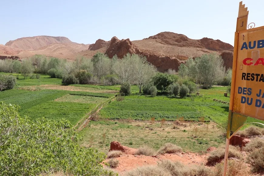 Valle fiorita in primavera, i tour di Pasqua in Marocco